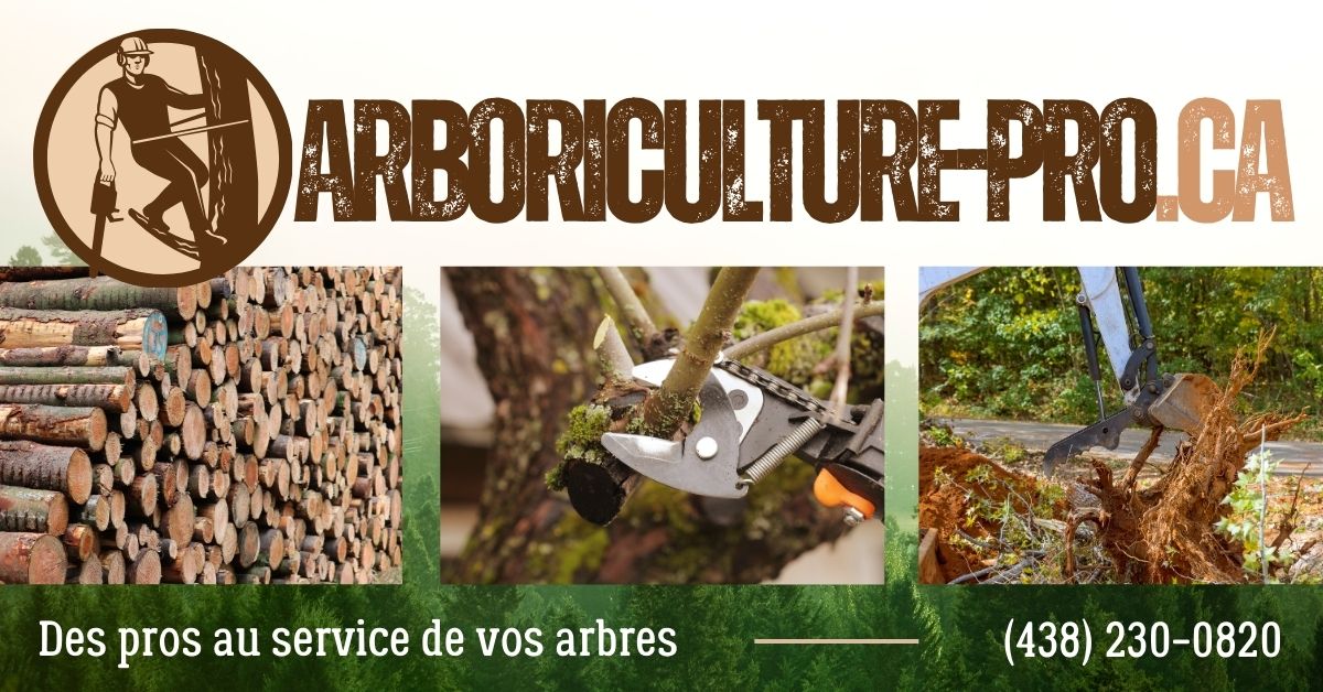 Entreprise Spécialisée en Arboriculture à Saint-Hyacinthe