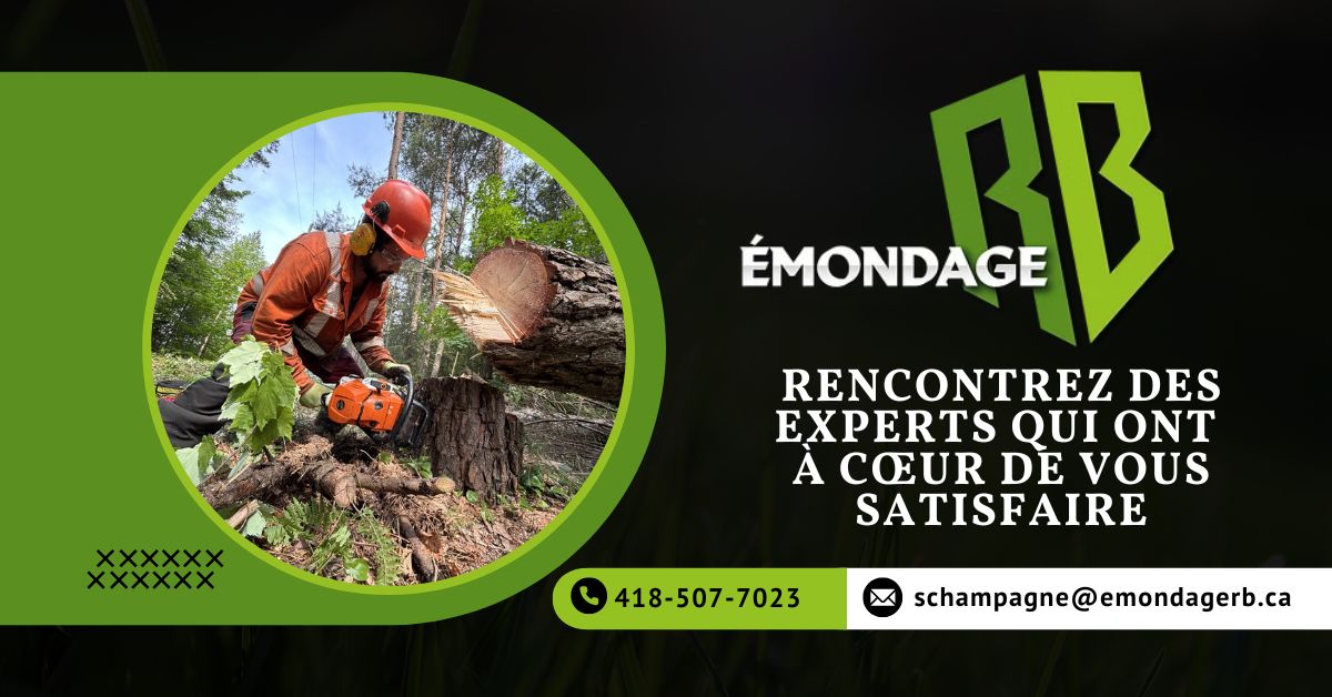 Entreprise Spécialisée en Arboriculture à La tuque