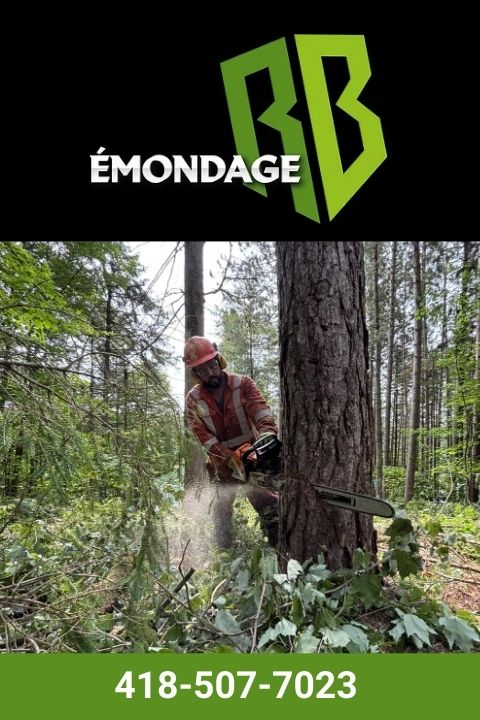 entreprise spécialisée en arboriculture en mauricie droite