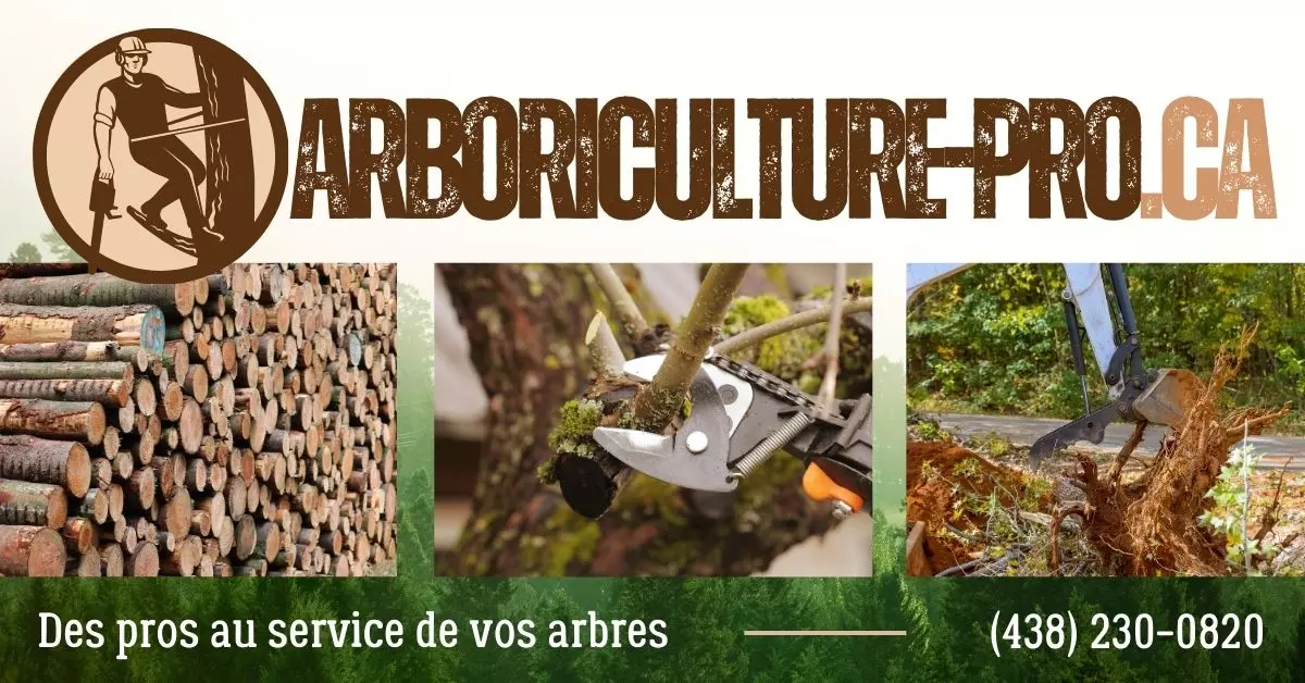 Entreprise Spécialisée en Arboriculture à Saint-Eustache