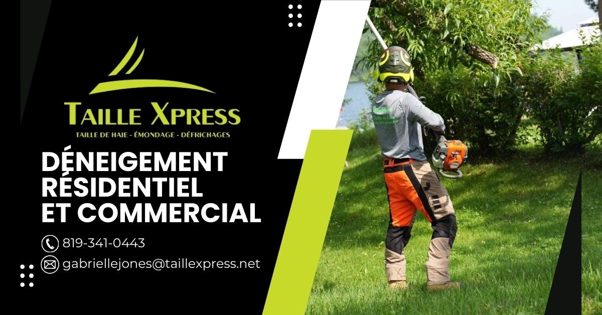 Bannière Taille Xpress