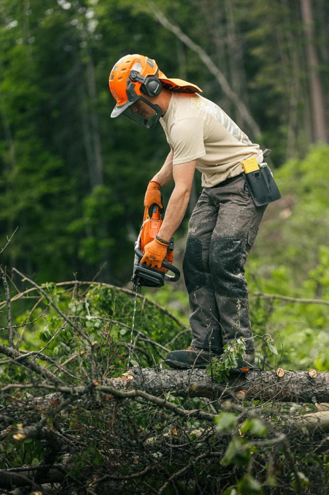 Arboriculture (2)