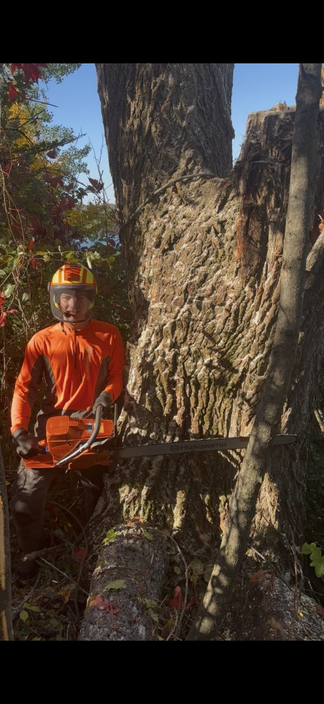 Arboriculture (4)