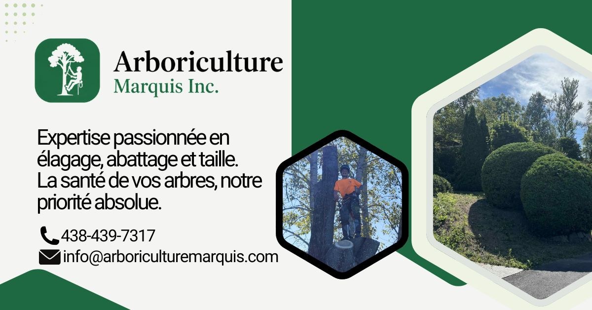 Bannière Arboriculture Marquis